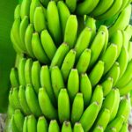 banana