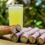 sugarcane
